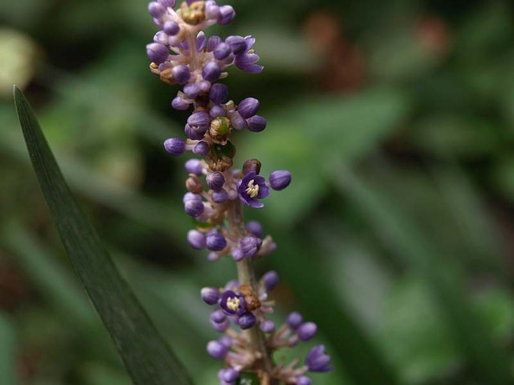 P8266950