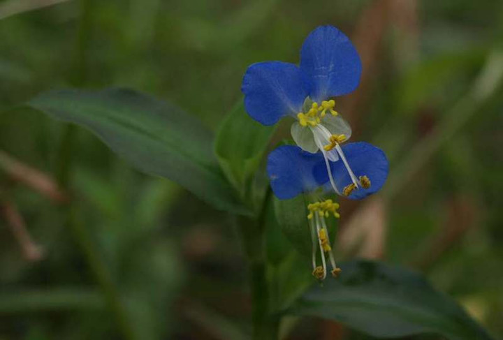 P8266999