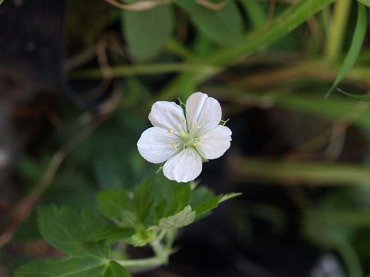 P9017571