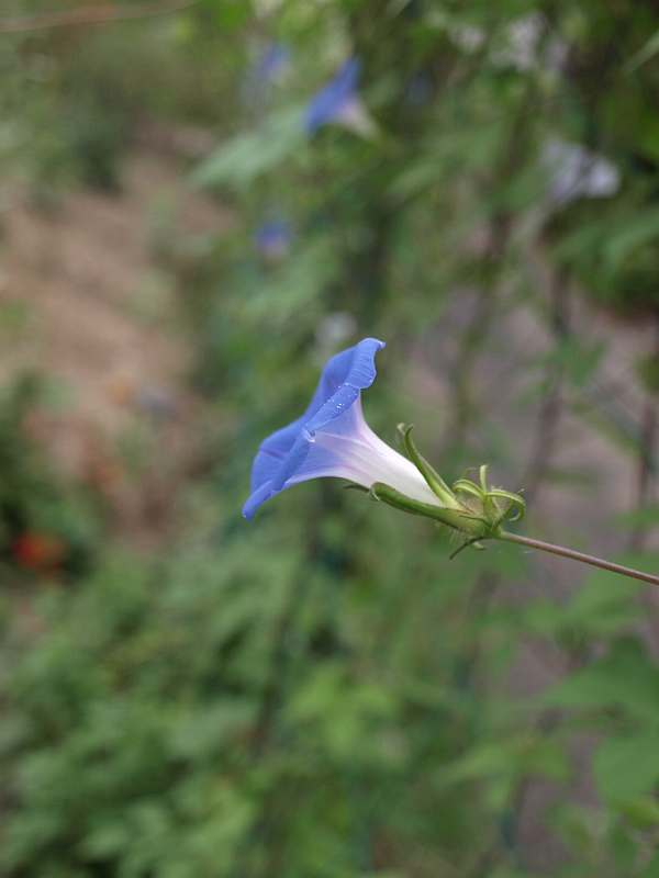 P9047670