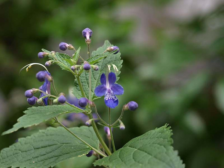 P9057776