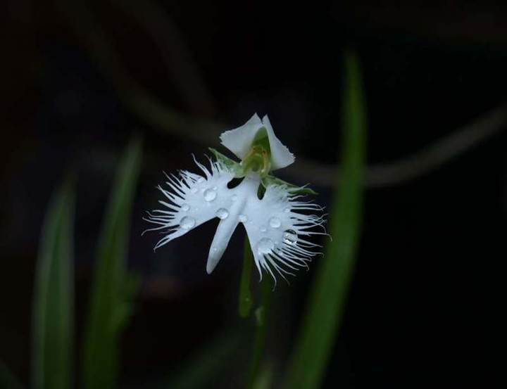 P9057806