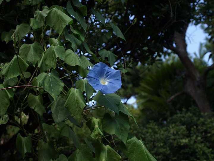 P9108181