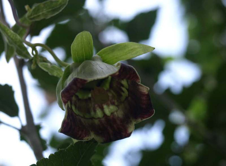 P9148304