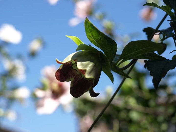 P9208571