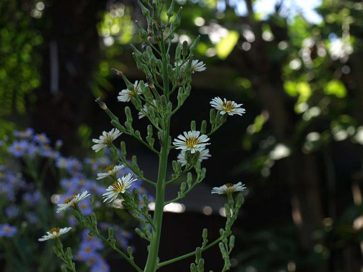 P9208575