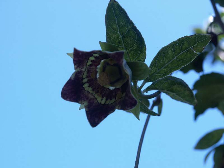 P9208582