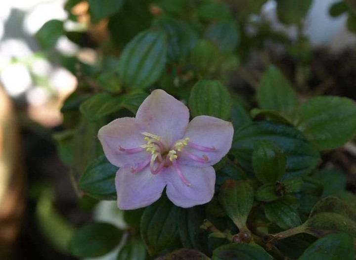 P9228689