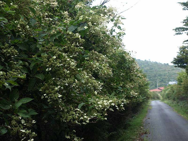 P9239340noriutugito_sannsou