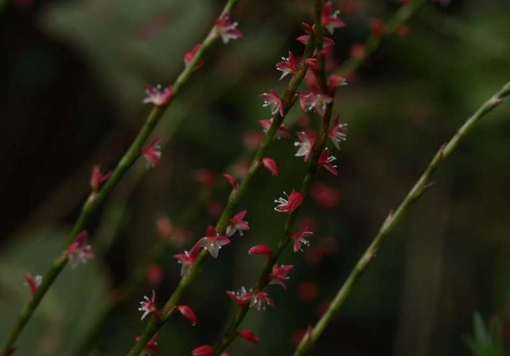 P9249507