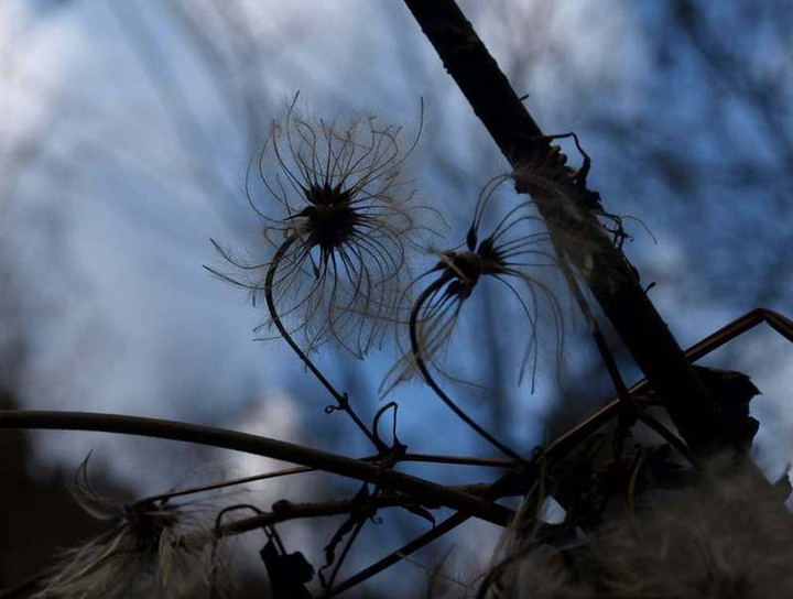 P1027355