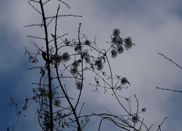 P1027361