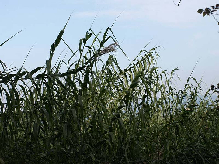 P1087544
