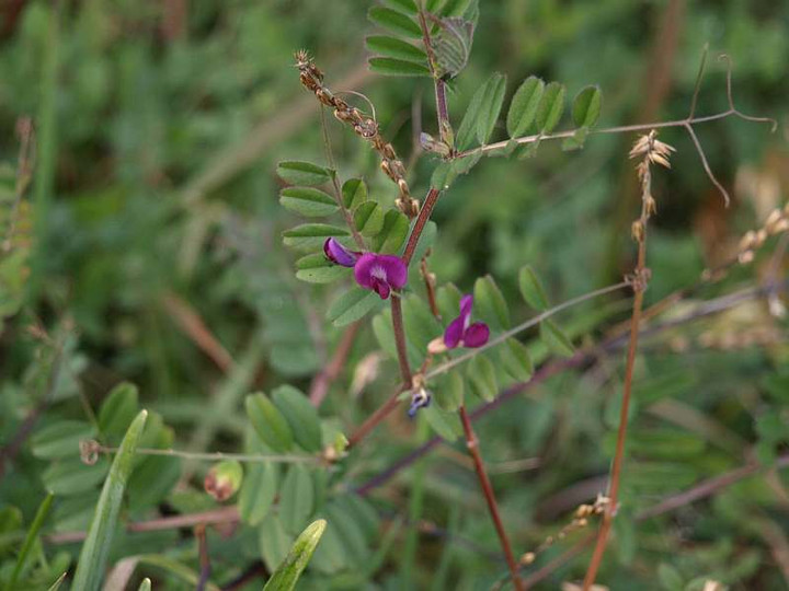 P1087552