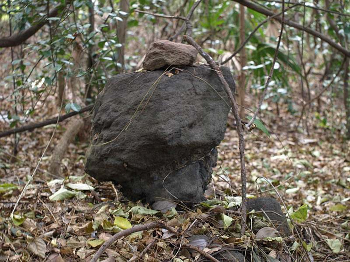 P1087585