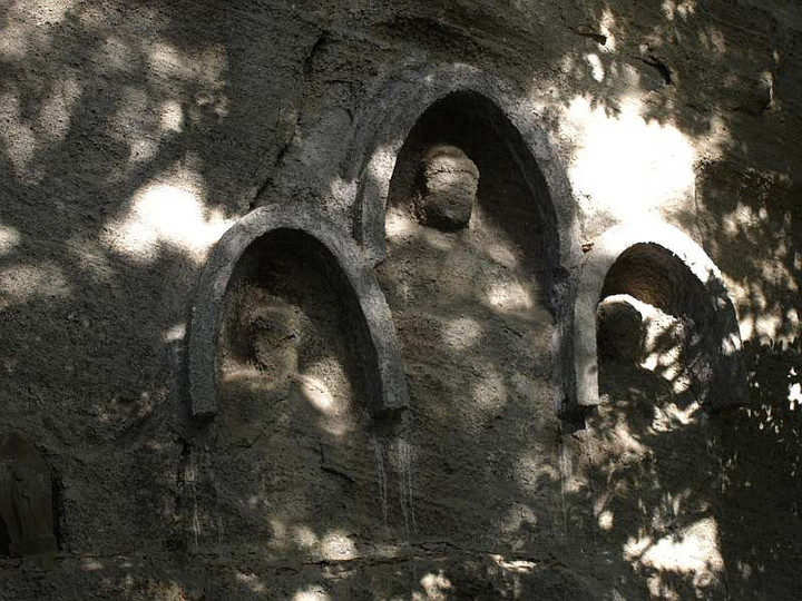 P1117859