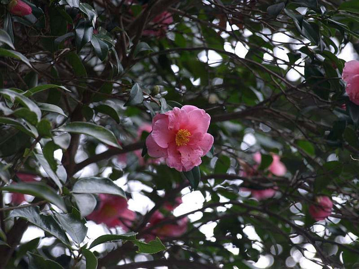 P1117864