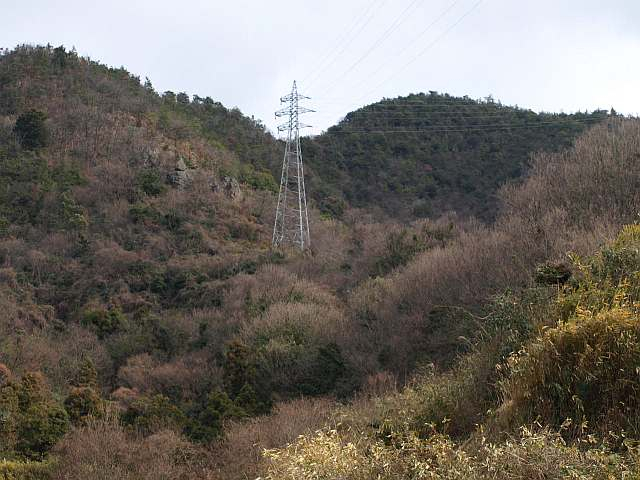 P1117870