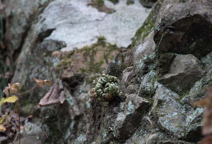 P1117895