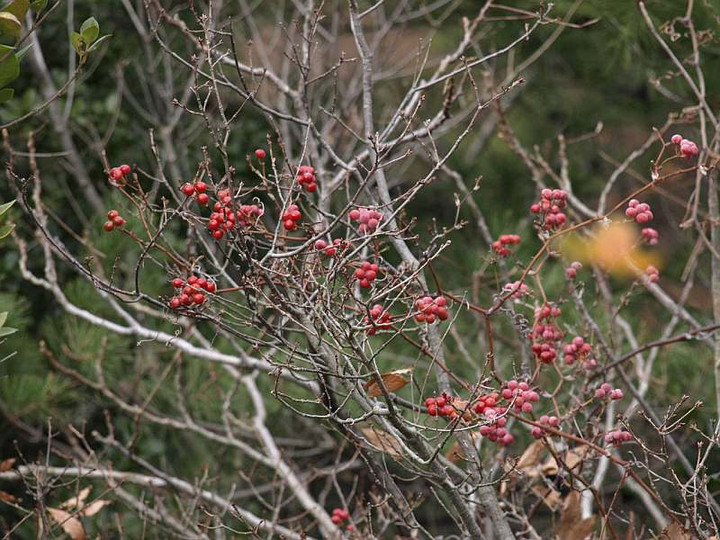 P1117902