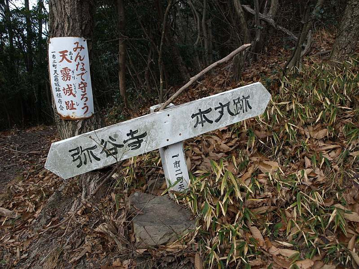 P1117998