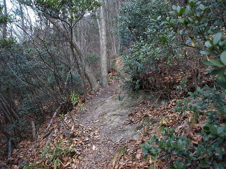 P1117999