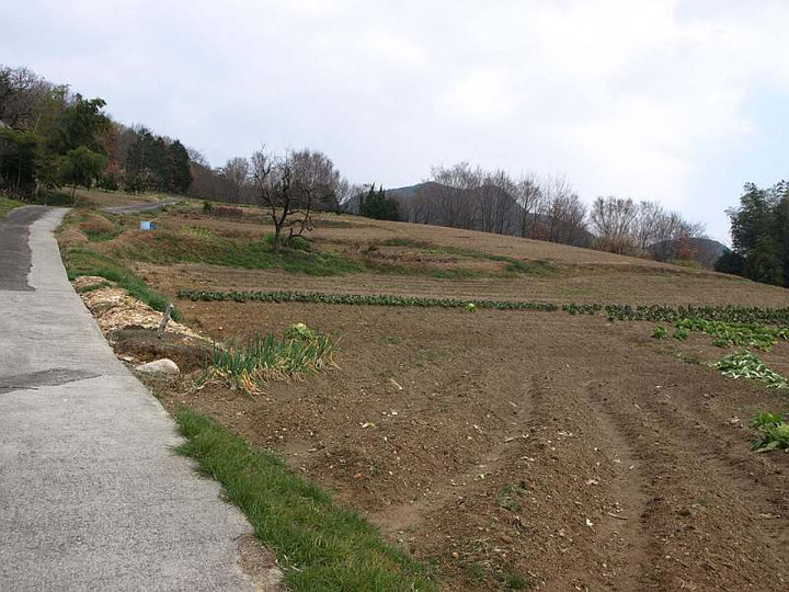 P1238517