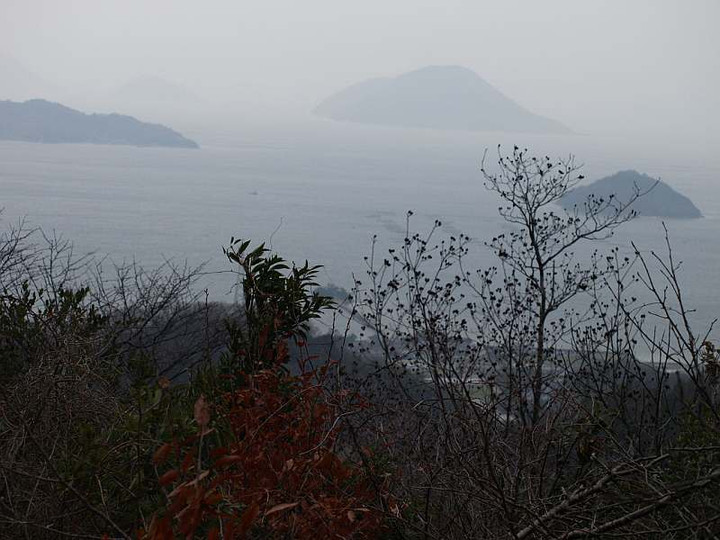 P1238550