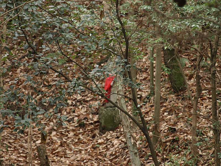 P1238557