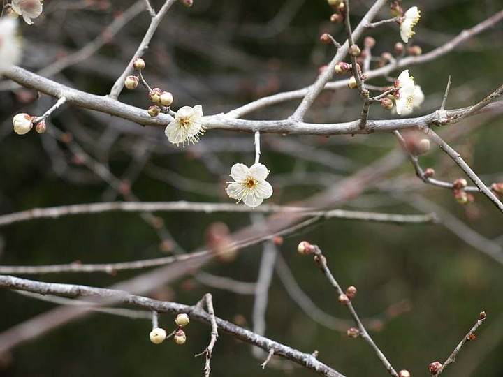 P1238569