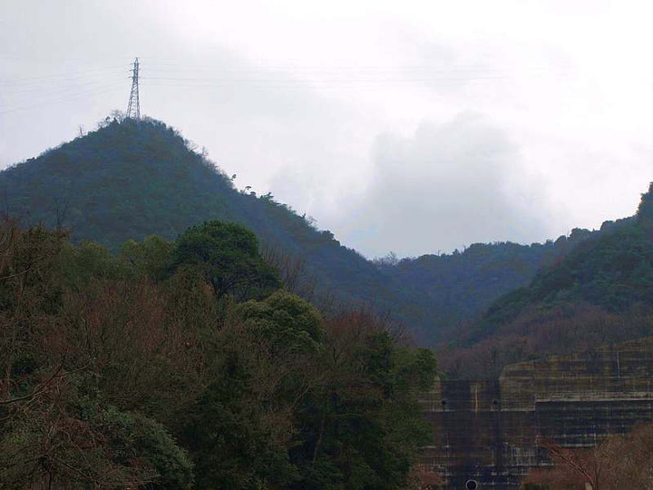 P1238589