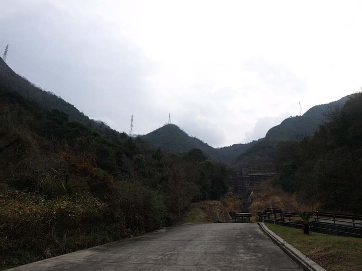 P1238590