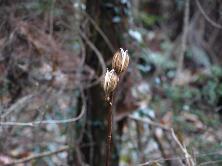 P1238631
