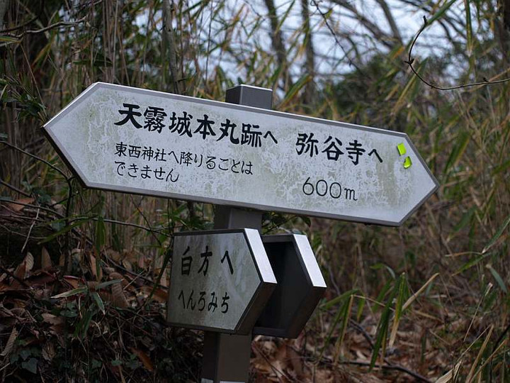 P1238639