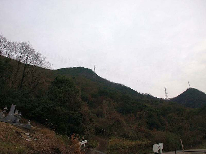 P1238657