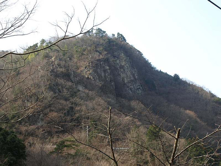 P2029238
