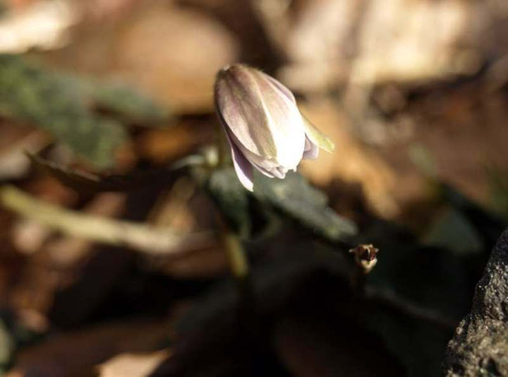 P2029261_2