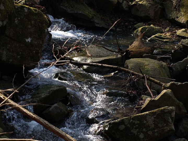 P2029262