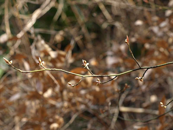 P2029291