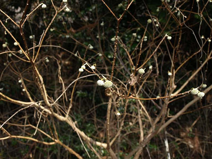 P2029351