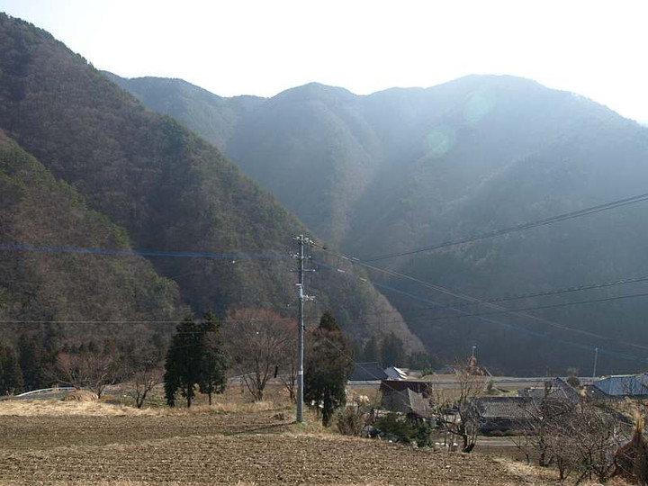 P2029353
