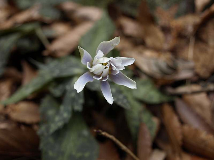P2089701