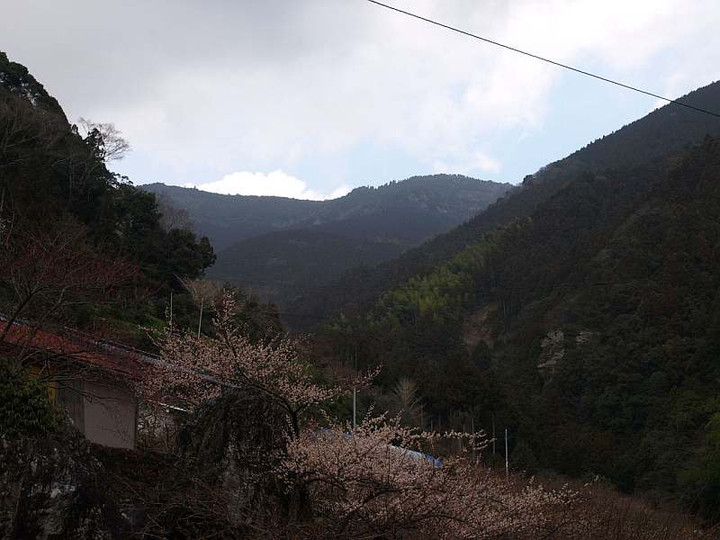 P2099801