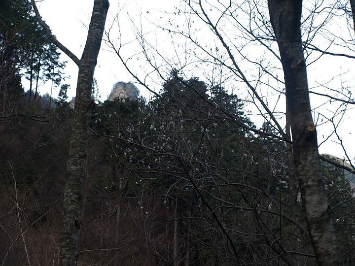 P2150198
