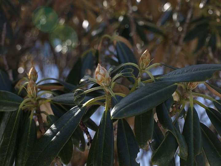 P2150262