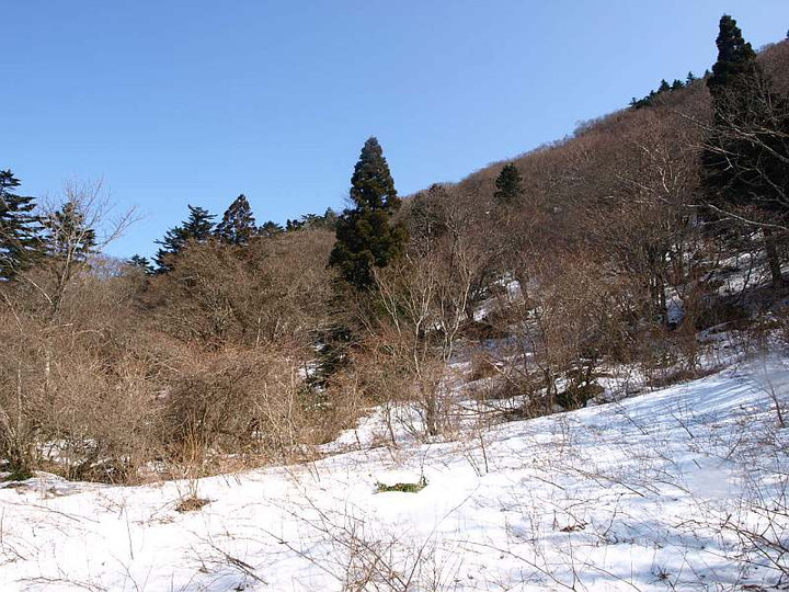 P2150353