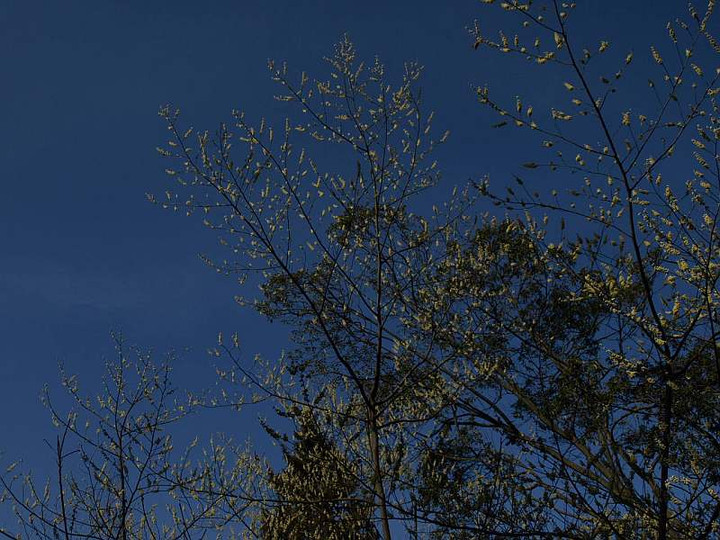 P2160426