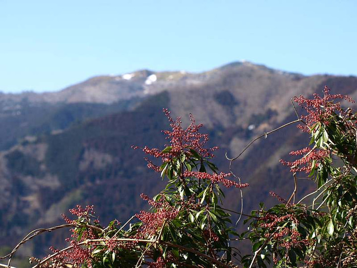 P2180761
