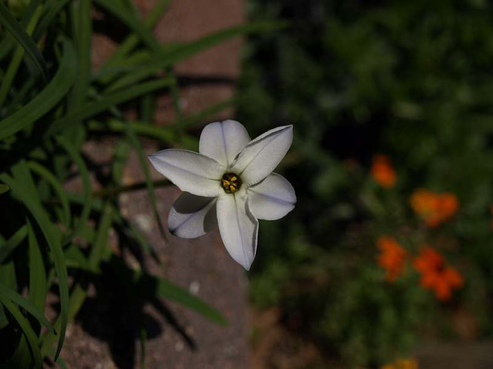 P3011330