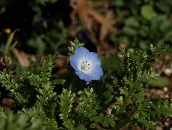 P3011333